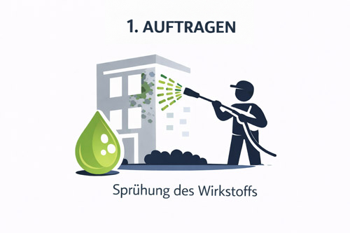 fassadenreinigung-waschen-wirkstoff-spruehen3
