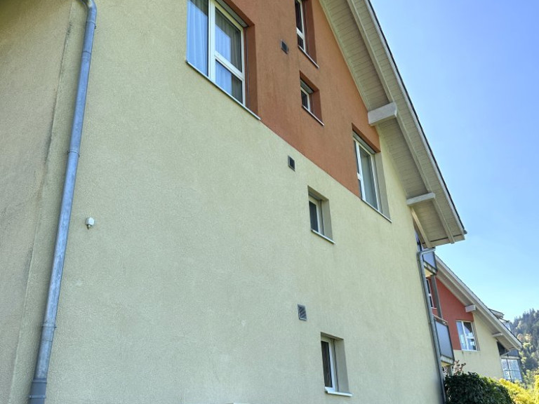 fassadenreinigung-ohne-geruest-4