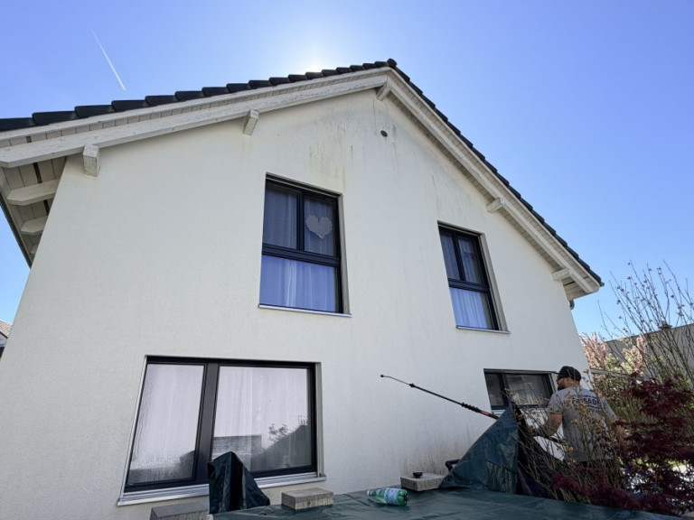 pilzentfernung-fassade-schweiz-2