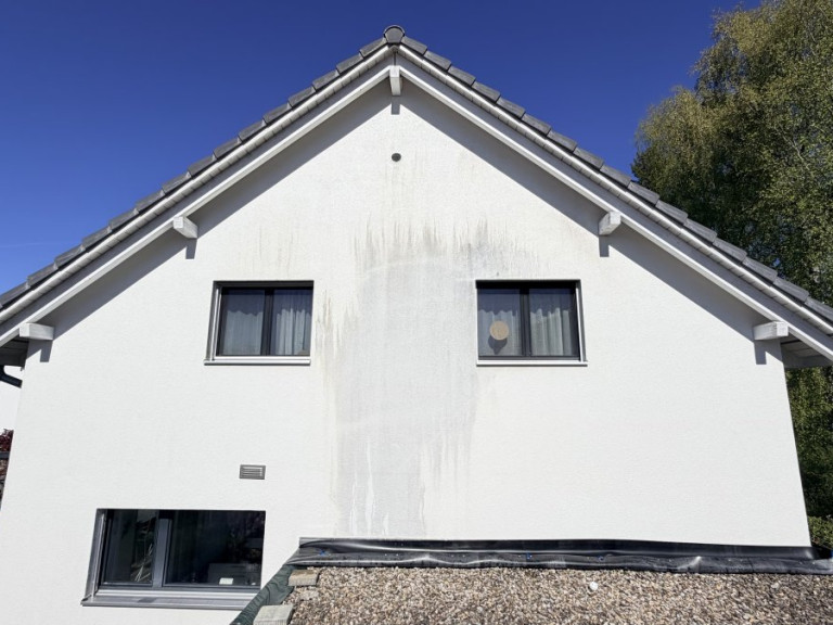 pilzentfernung-fassade-schweiz-5