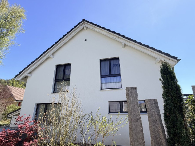 algen-moos-entfernung-fassade-7